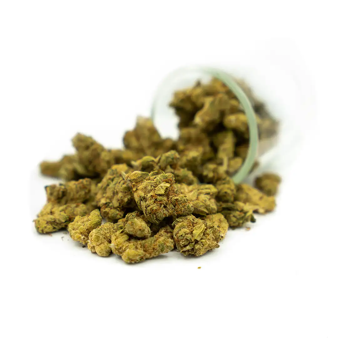 Small Buds Amnesia
