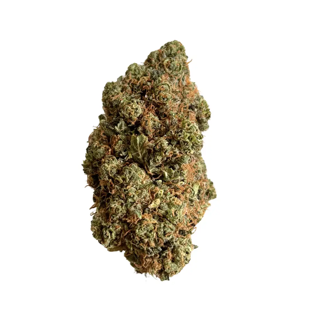 Exodus Cheese