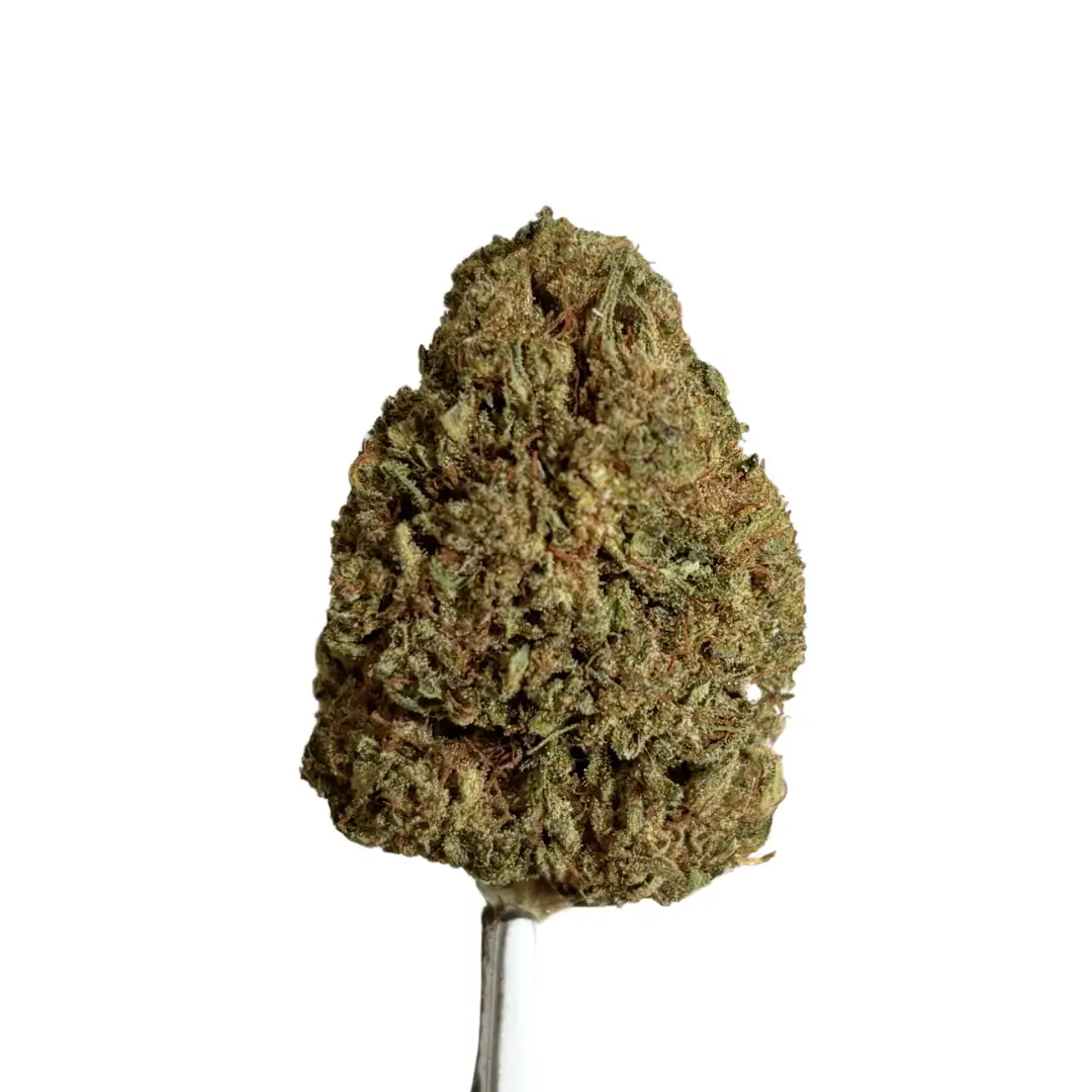 Lemon Cherry